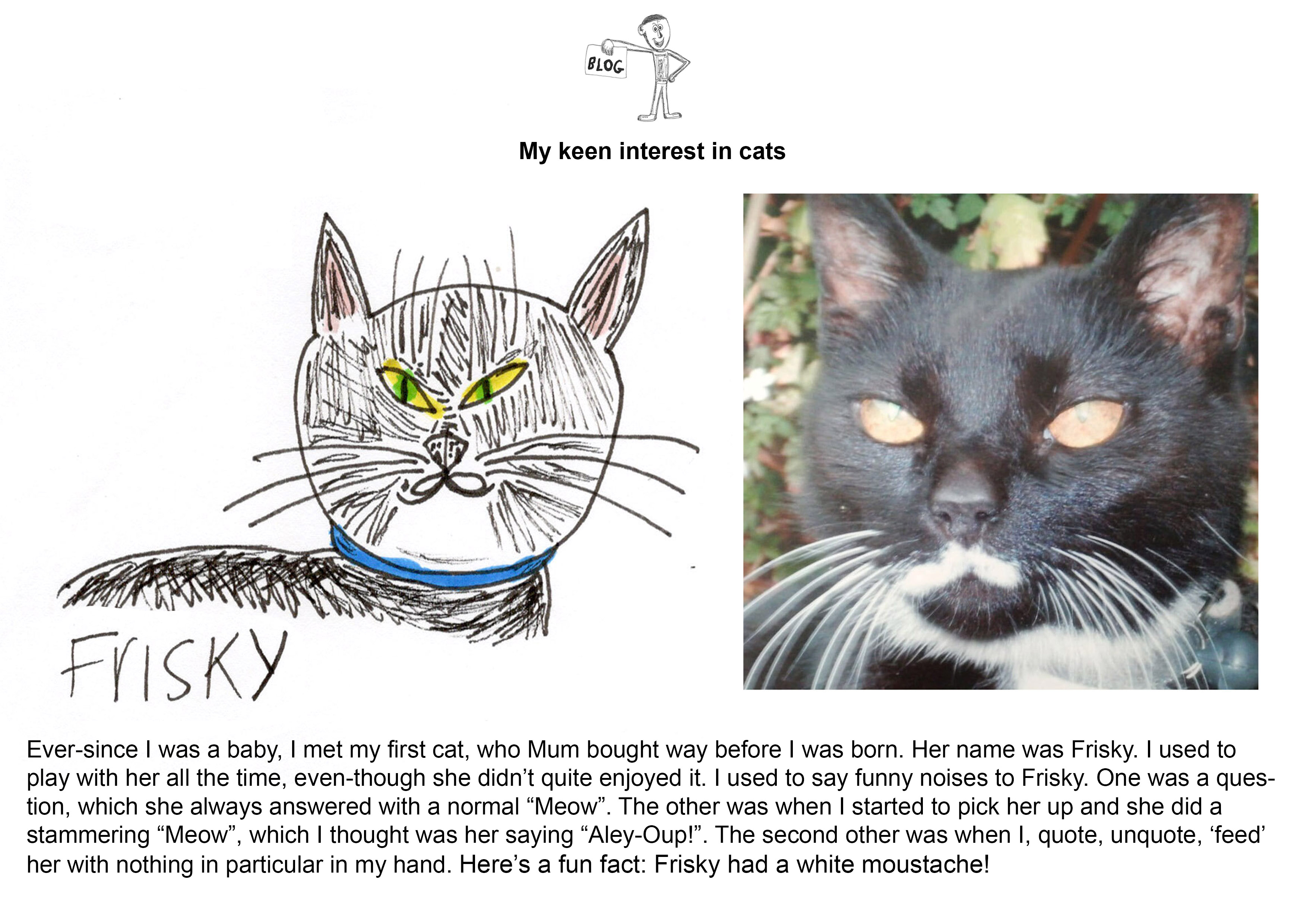 An artwork that is being displayed as part of Manchester Open 2026. The work shows a photograph of a black and white cat on the right hand side and an illustration of a black and white cat on the left hand side. There is also a paragraph of text underneath which tells a story about the cat.