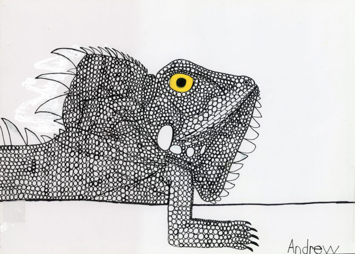 Illustrated picture of a gecko in black and white with a yellow eye, by Andrew Johnstone
