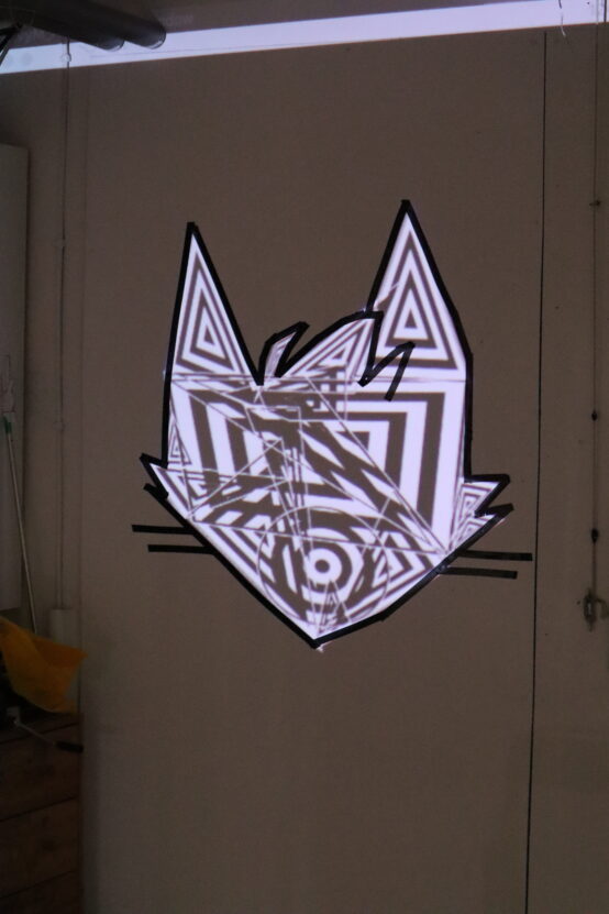 Projection mapping of a cat's head with a black and white pattern inside the outline of a cat's head.