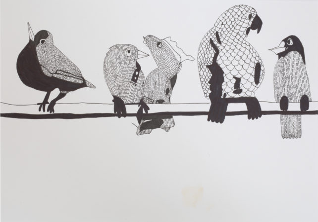 Black and white illustration of different birds sitting on a branch