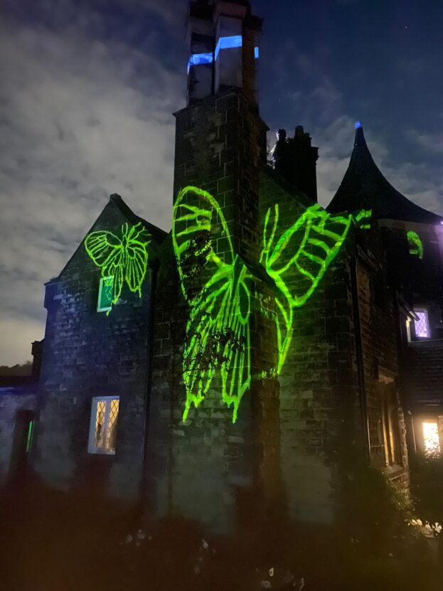 Projection mapping of a butterfly on a house