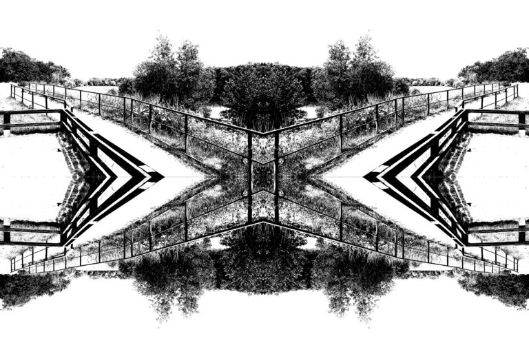 Abstract black and white image.