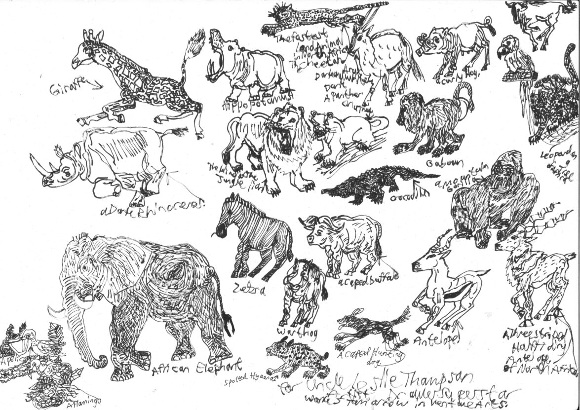 Line drawings of African animals.