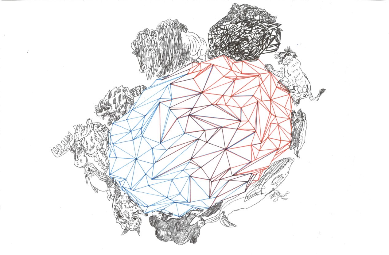 Geometric line drawing with drawings of animals around it.