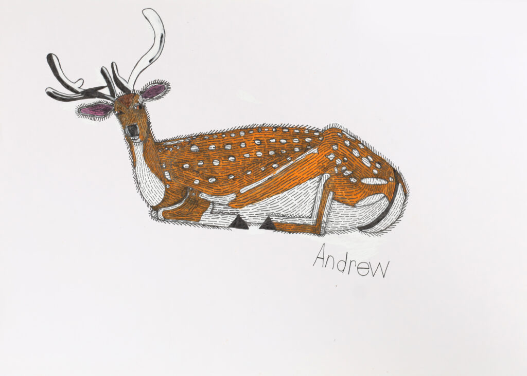 Illustration of a stag in black, white and brown