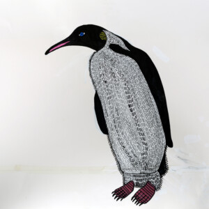 Fine Art print of an illustration of a Penguin, drawn by Andrew Johnstone