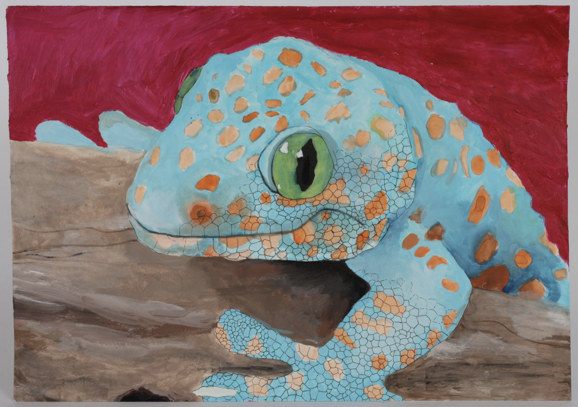 A painting entitled Colourful Gecko by Niamh Spawton. The gecko is a light blue with orange spots and bright green eyes. It is clinging to a brown rock and the background is red.