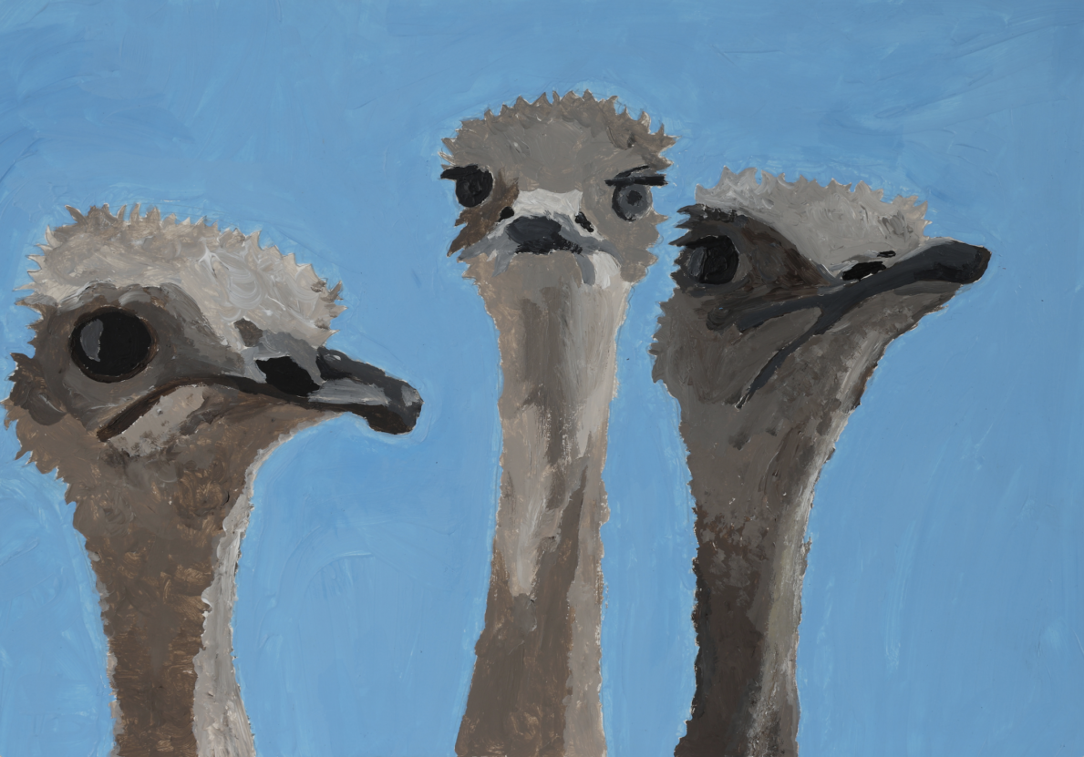 An acrylic painting of three ostriches on a blue background by Venture Arts artist Niamh Spawton.