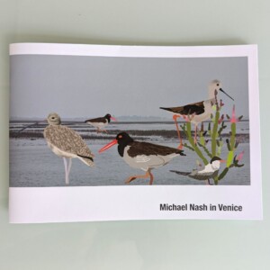 Front cover of an illustrated zine - Michael Nash in Venice