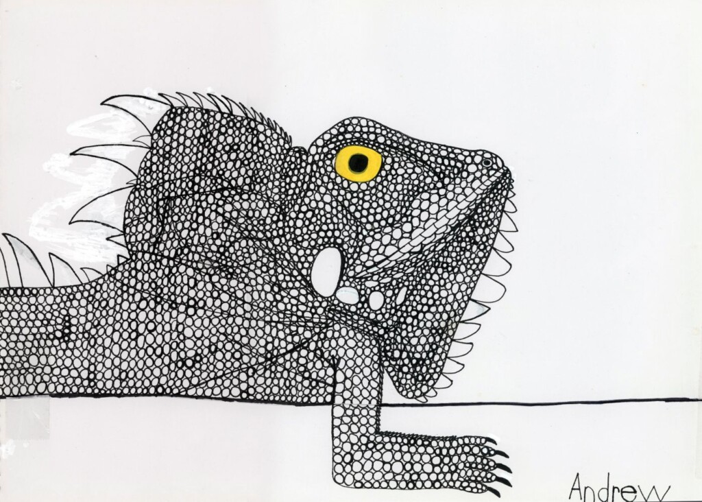 A3 Fine Art print of Andrew Johnstone's illustration of a lizard