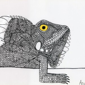 A3 Fine Art print of Andrew Johnstone's illustration of a lizard