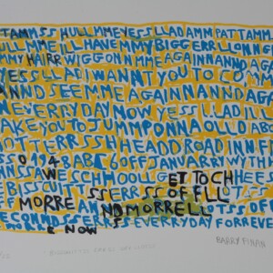 Original screen print by Barry Finan - Original Artwork; Barry Finan; BISSCUITTSS ERRSS OFF LLOTSS, featuring blue ad black writing on a yellow background
