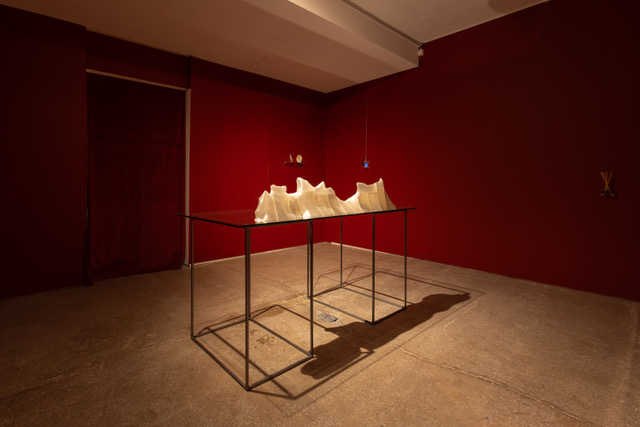 Jal_3607 large image