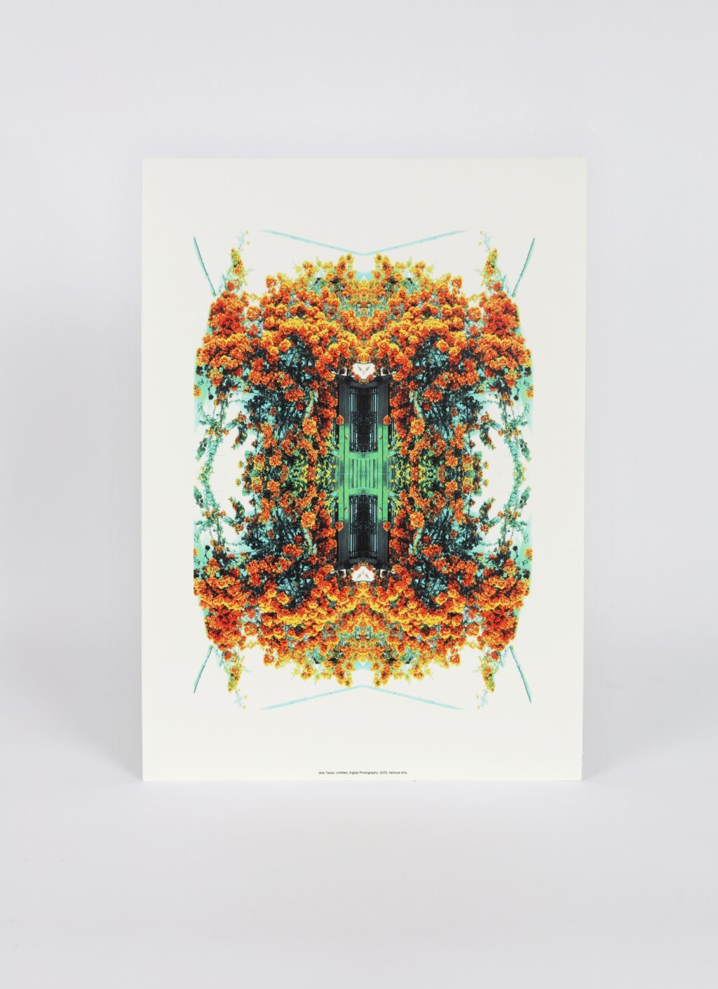 A3 reproduction print by Jess Taylor, featuring an orange and green mirrored image of a door and flowers.