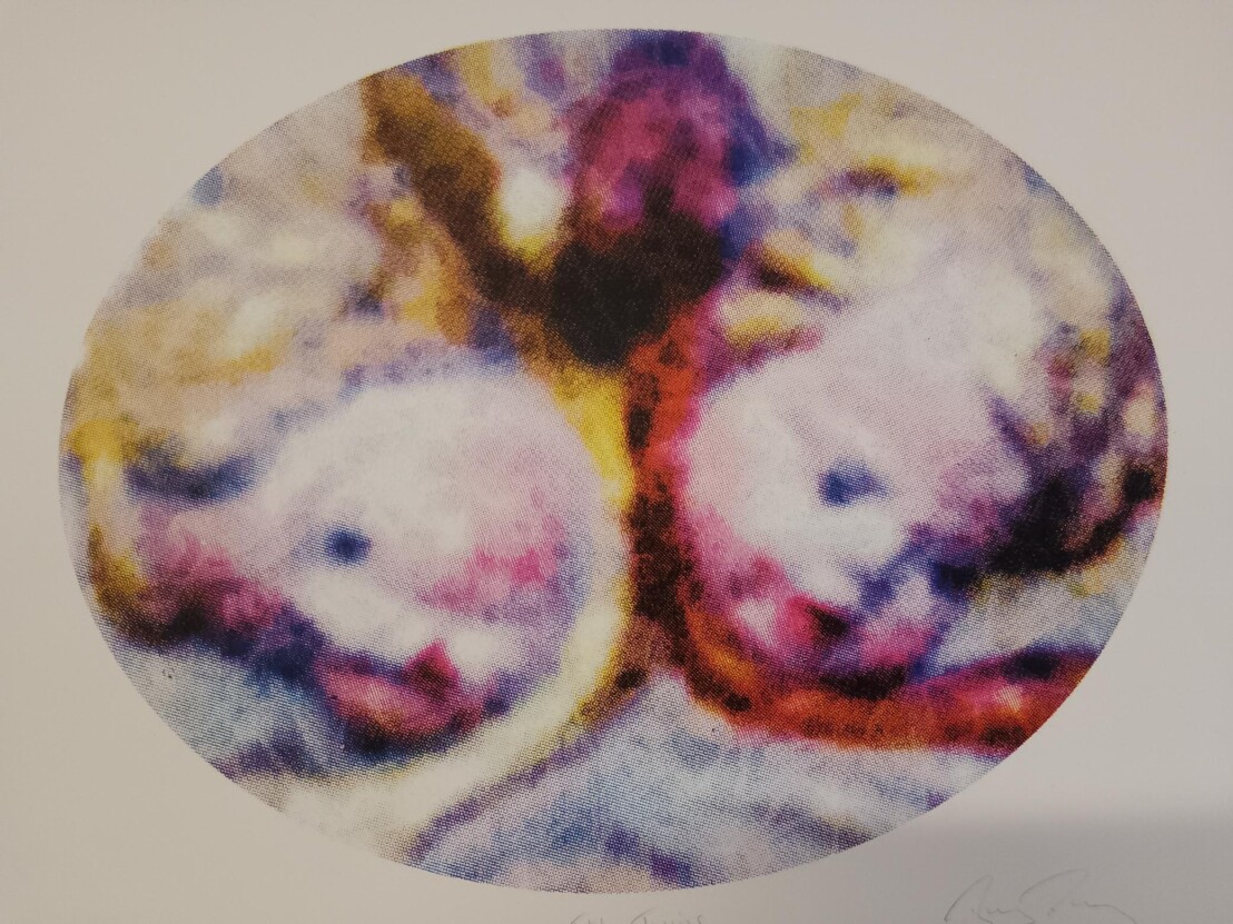 Twins for venture arts image
